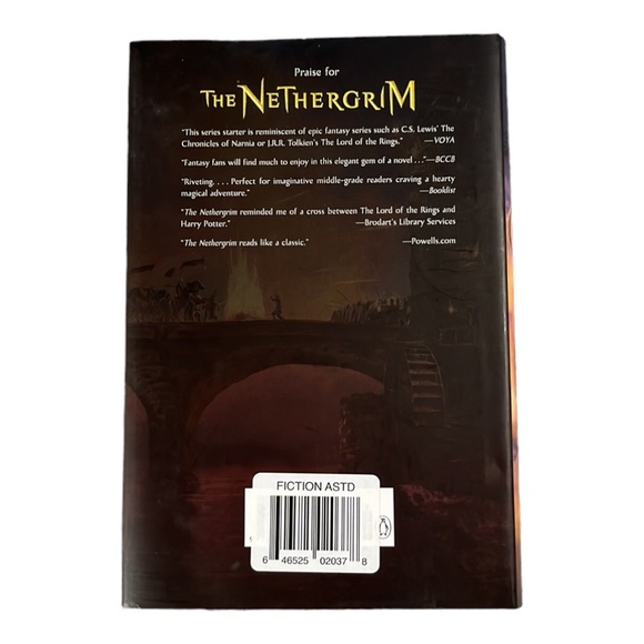 The Skeleth by Matthew Jobin Book 2 of the Nethergrim Epic brand new - Picture 2 of 3